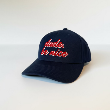 dude. be nice Script Hat | DUDE. be nice